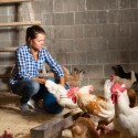 3 Easy Ways to Make Raising Chickens Easier on Your Body