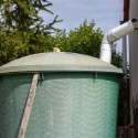 Using a Rain Barrel System for Your Backyard Chicken Coop