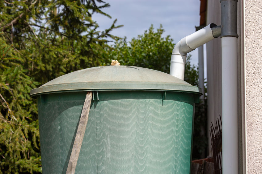Using a Rain Barrel System for Your Backyard Chicken Coop