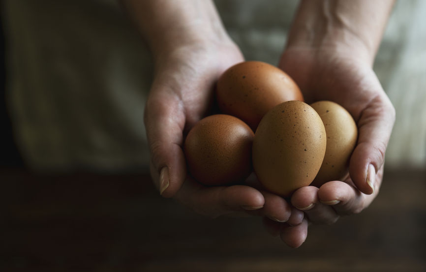 What to Do with Extra Eggs from Your Backyard Chickens?