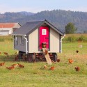 Automatic vs. Manual Chicken Coop Doors