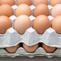 chicken eggs in carton