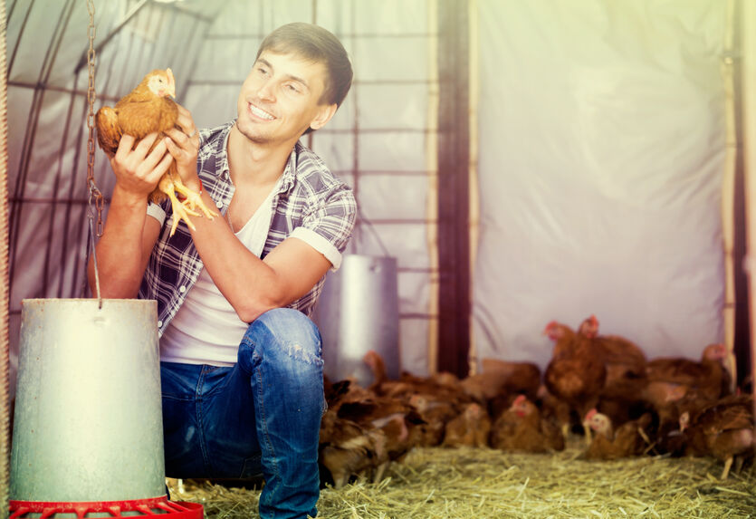 Cheerful male farmer holding brown chicken