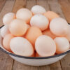 Austra White Eggs