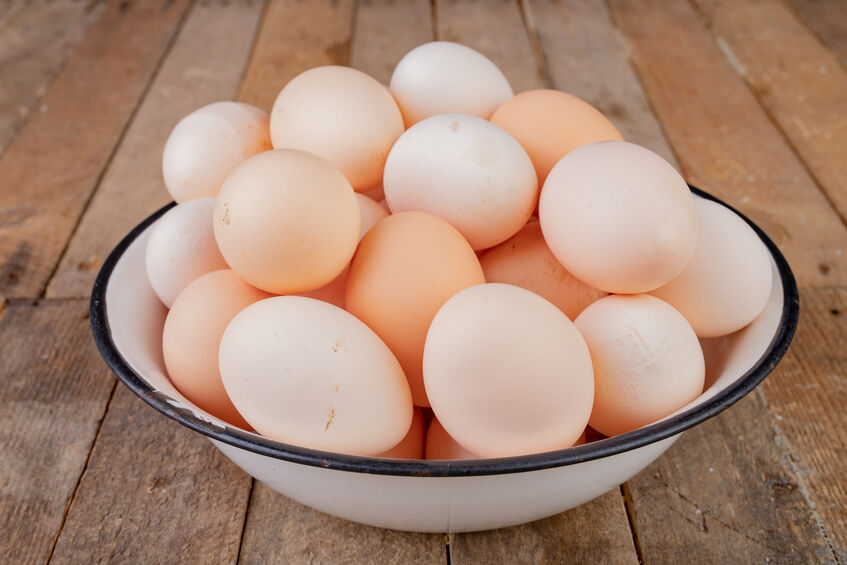https://www.chickensforbackyards.com/wp-content/uploads/2021/12/Austra-White-Eggs.jpg