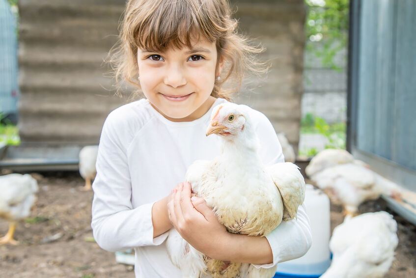 young girl holding chicken