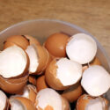 eggshells in a bowl on a table