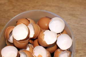 eggshells in a bowl on a table