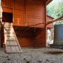 interior of chicken coop and run