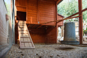 interior of chicken coop and run