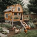 A chicken coop in a backyard