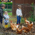 Three kids of varying ages feed a group of chickens