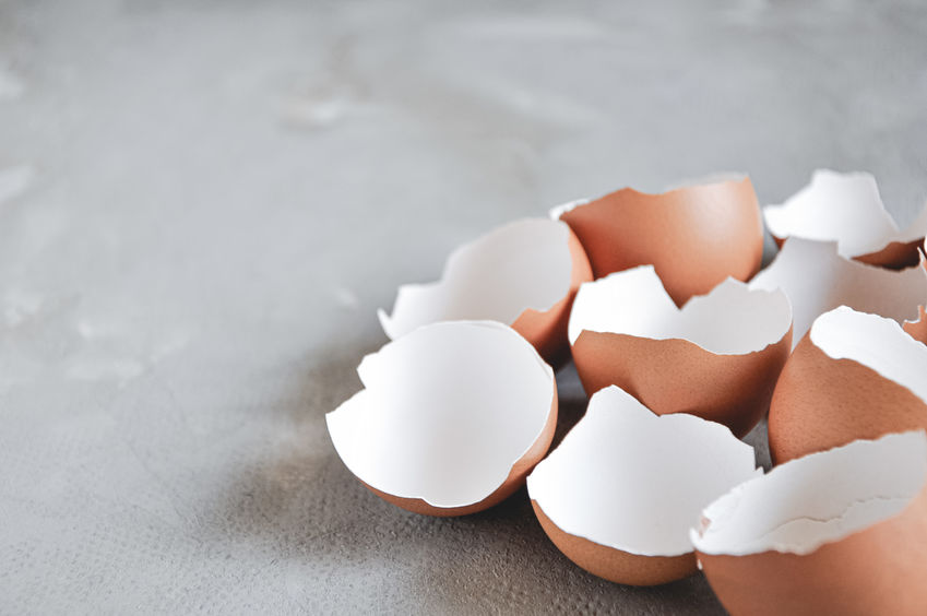 Eggshell. Shell of eggs on concrete kitchen table